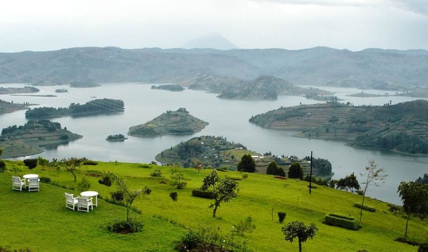 bunyonyi