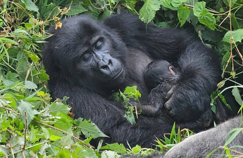 WhatsApp Image 2025-12-23 at 14.07.21 (1)