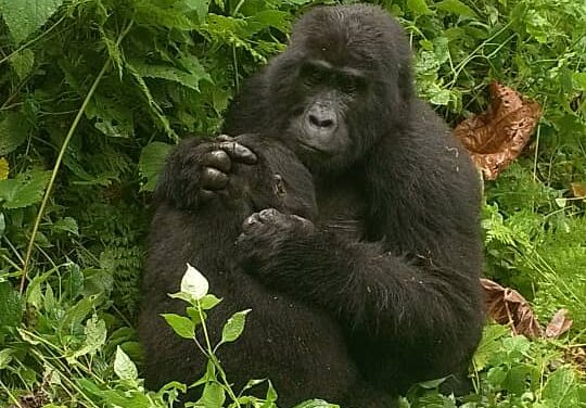 WhatsApp Image 2025-12-23 at 14.07.226