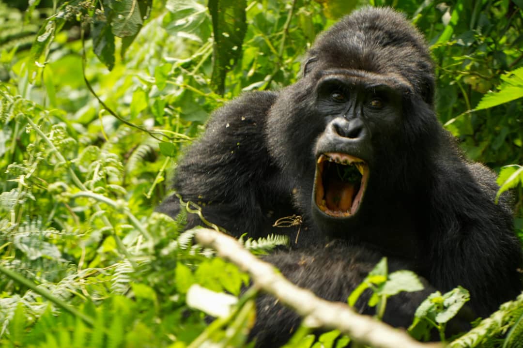 WhatsApp Image 2025-12-23 at 14.07.34hg