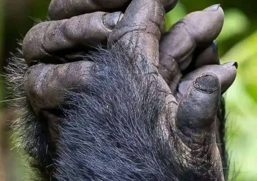 WhatsApp Image 2025-12-23 at 14.0b7.21 (1)