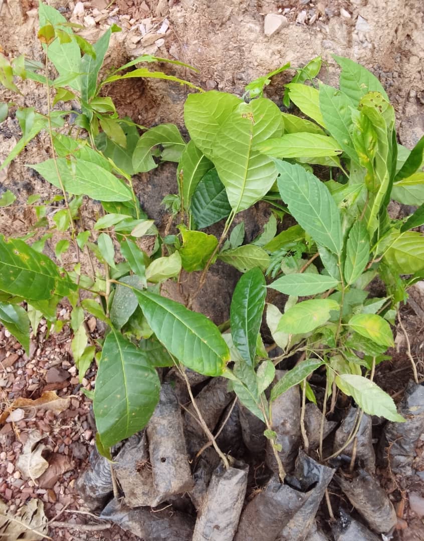 WhatsApp Image 2026-04-07 at 15.27.2488