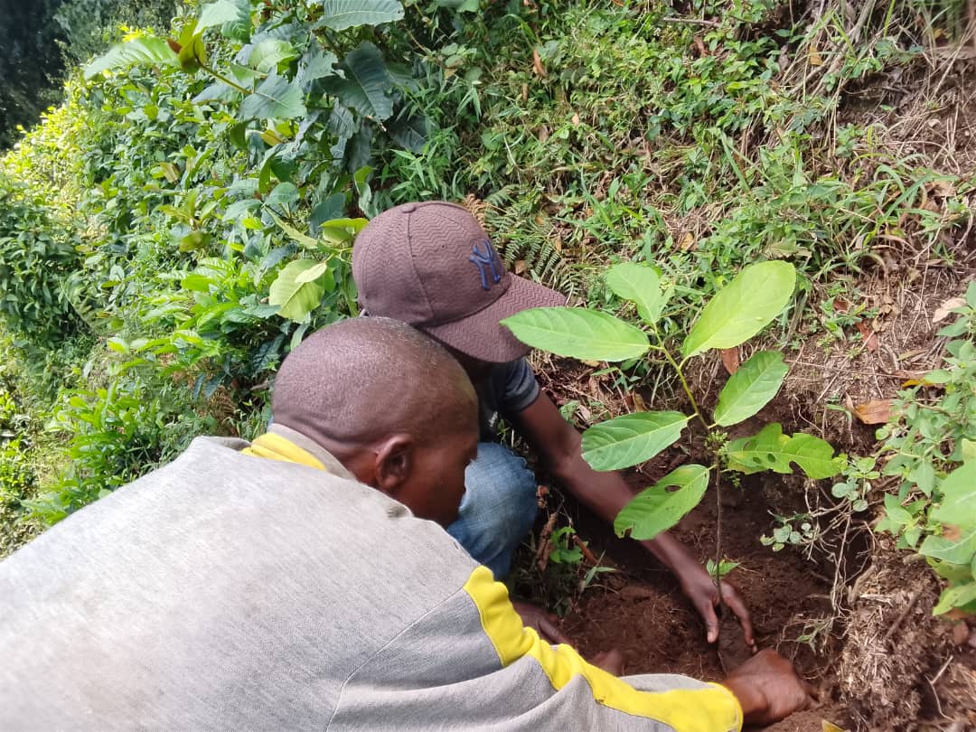 WhatsApp Image 2026-04-07 at 15.27.287