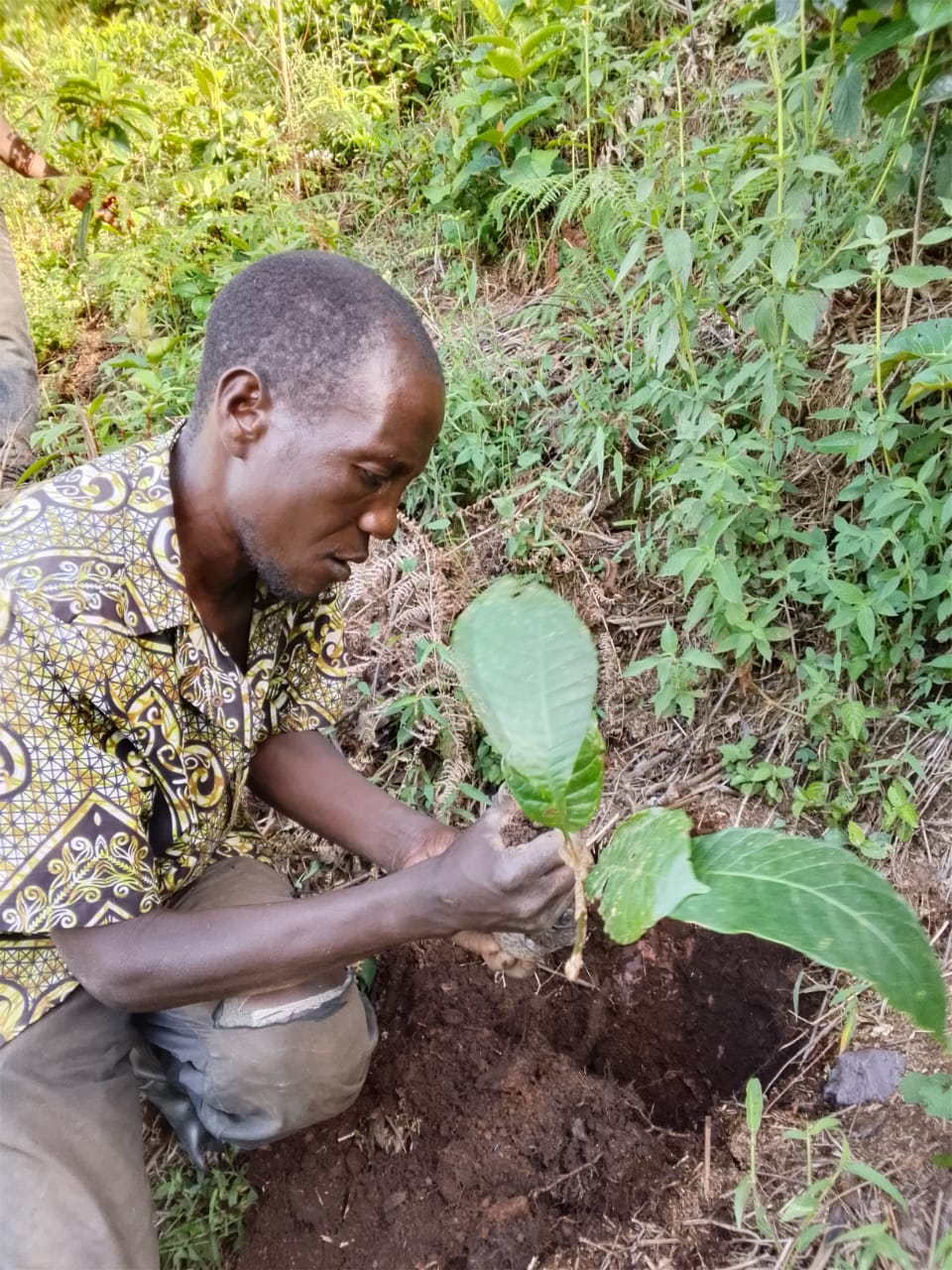 WhatsApp Image 2026-04-14 at 21.07.05